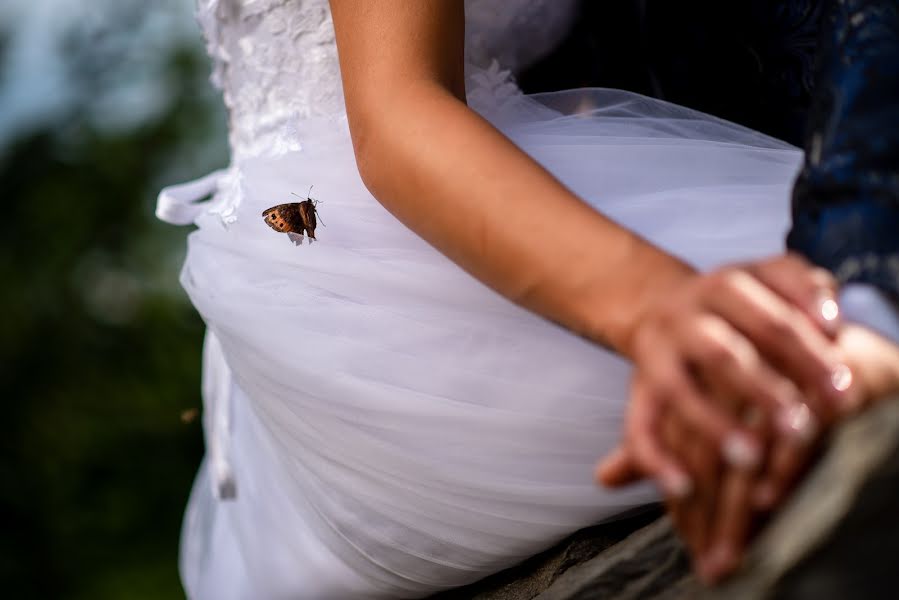 Fotógrafo de casamento Marius Stoian (stoian). Foto de 21 de agosto 2019