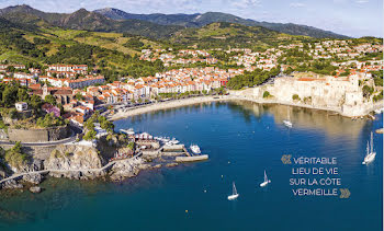 appartement à Collioure (66)