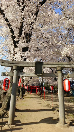 胸形神社鳥居