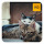 Cats Wallpaper HD New Tab Theme