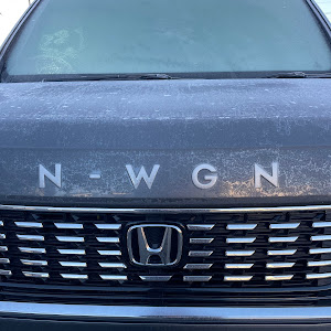 N-WGN