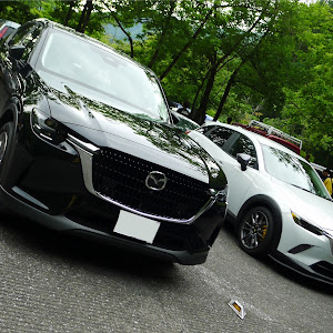 CX-3 DK5FW