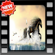 Download Awesome Horse Image For PC Windows and Mac 1.0