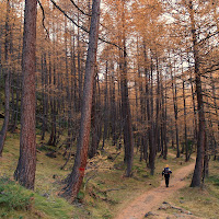 La via dell'anima di 