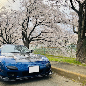 RX-7 FD3S 後期