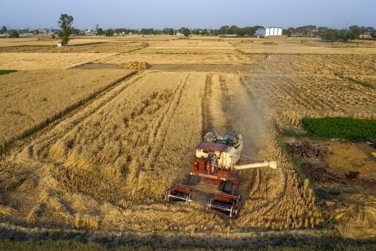 A combine harvester cuts wheat during the harvesting of a field. Picture: BLOOMBERG/PRASHANTH VISHWANATHAN