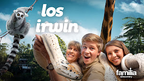 Irwin African Adventure thumbnail