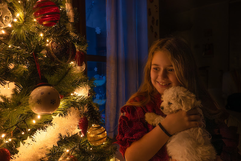 Jolly e l'albero di Natale di angart71