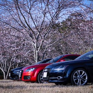 TT クーペ 2.0TFSI