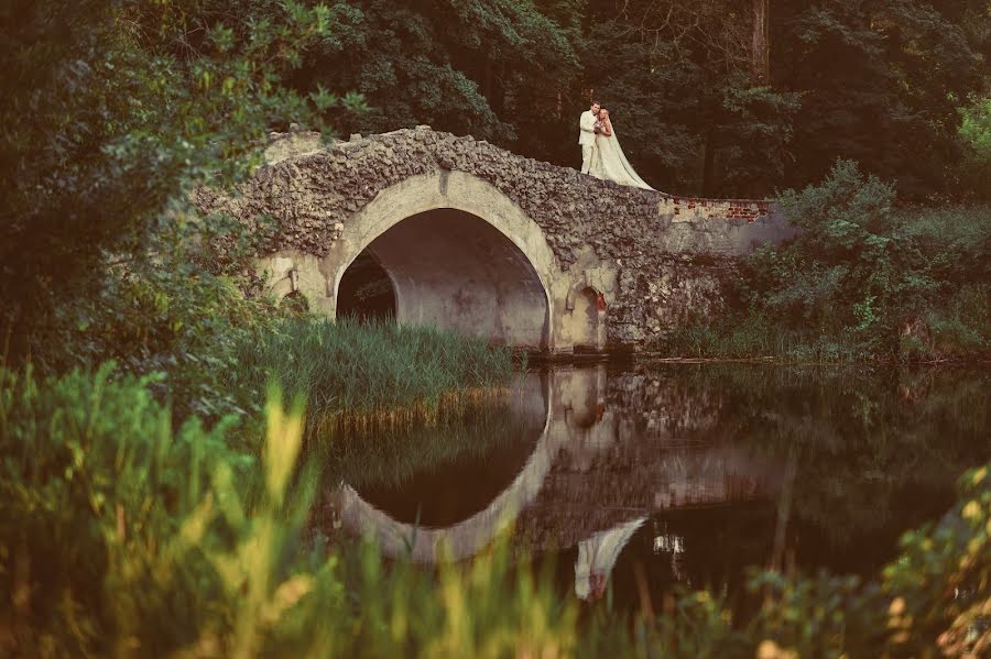 Свадебный фотограф Роман Исаков (isakovroman). Фотография от 14 ноября 2013