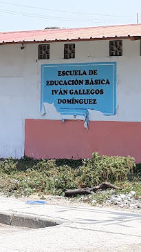 Opiniones de Escuela De Educación Básica Iván Gallegos Dominguez en Guayaquil - Escuela