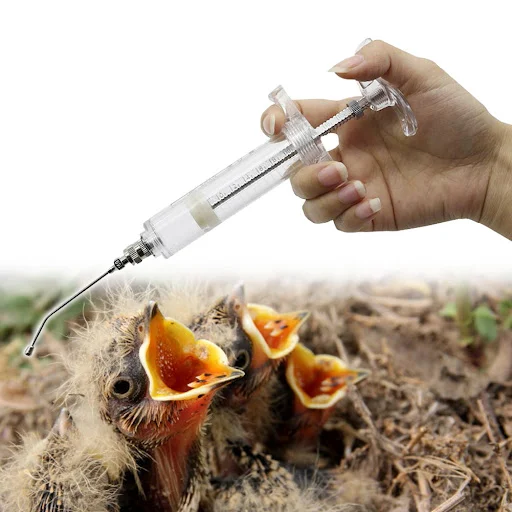 Manual Feeding Rearing Gavage Crop Needle Curved Medication Tube Cage Birds Mice Parrot Feeding Syringe