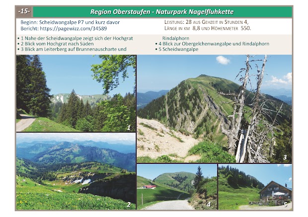 Allgäu Rundtour Nagelfluhkette Gunzesried Blick vom Hochgrat und Rindalphorn Scheidwangalpe Brunnenauscharte