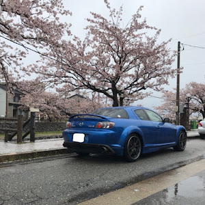 RX-8 SE3P