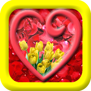 Flower Photo Frames.apk 2.0