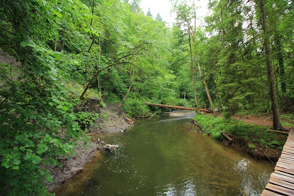 Ruta de Wutachschulcht -LUNES 10 DE JULIO - 15 días por la Selva Negra y la Alsacia Francesa (20)