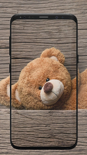 Cute Bear Wallpaper