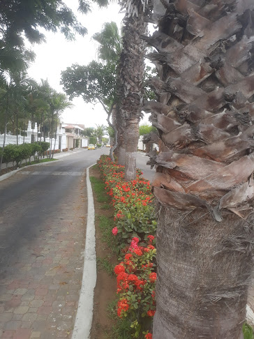 Opiniones de LissFlor en Guayaquil - Floristería