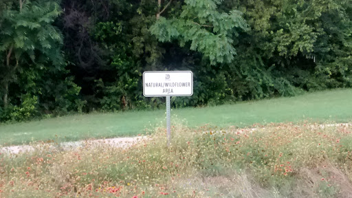 Natural / Wildflower Area at Elmwood Parkway