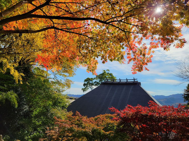 カローラスポーツの奥多摩・今年も行けた御嶽山!・紅葉・マニュアル車は楽しい・明日も生きていたら儲けモン😏に関するカスタム事例の投稿画像21枚目
