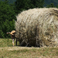 Quando la natura chiama di 