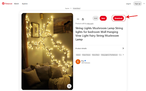 Download Pinterest Videos - Pinedia