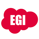 EGI Salesforce Features