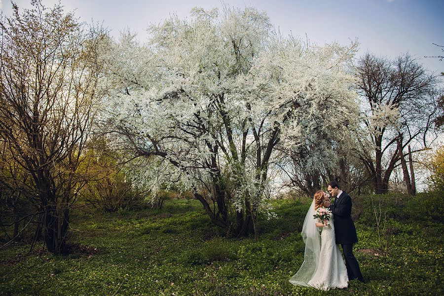 Bröllopsfotograf Tetiana Thiel (tanyaivanova). Foto av 22 april 2015