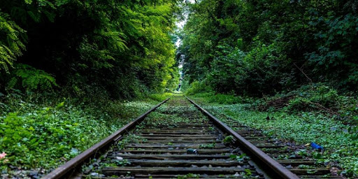 Best 4K Quality Wallpapers