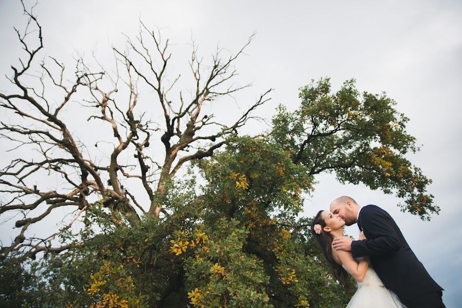 Wedding photographer Tibor Erdősi (erdositibor). Photo of 14 November 2015