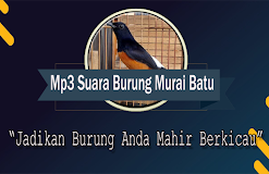 Master Murai Batu Medan Mp3 Offline