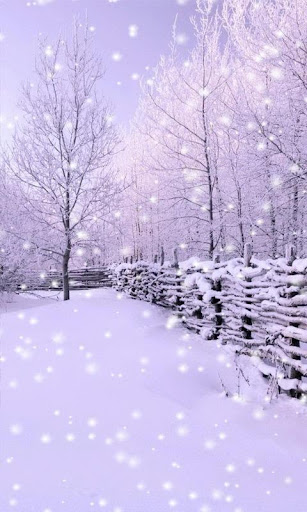 Wonderful snow-fall