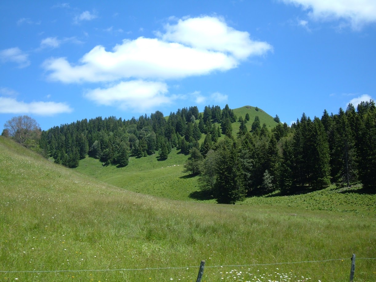 Balade moto à La Pesse dans le haut Jura Z8y0I4OtTfh3SUd8Abj1sJr2cMgsfuTEC1qOqiufCJYhGt772P_N2p6Rh_yl-ldz3To2N9Z-Jd04A7m72cb7uidwgJxVW3S1925MGjVrsFx6zniud-Lc0VBBPtxzvOL0A7324dqtFr7RUs4JSmtPxEJndTyU1lf0qobI03rGKthVi5xuRr3Dd2j0N-plPhDa1X9odN93w2As_iy6LRmStymSTH7SI6-reb9z_acceyWbKZJwxkQkbvsR0OF0YgKCxTAwPFTSKSUmhZorG1JiuAWmtMF-DlfAsFwJbmaQB7GPW3vD8DpOvPRELBP7a134D5EY1hls4pOO0TQdx2J1EYMX83koXeFWS9ff3UTnDqLh-nFq2s3qa0cyN9kDoXInhiq5UcuFoIwlwd1ACEOomwq8zn5ArkIWboKlPAgn622uNflz_IbMuIuOBgzffXRo2QO6ZjY1cF8HCF4MzVhDt-Y6sQSjn3mAgQ9XZZWWPe1J-MTRogbeKf5zs4hkGwel8oYD2wRC6i8C_5KwP1z8euAyOS6PWyfvmZn2Cxy2TKkH7B3t-92nhPeTbvQYC2oQus2d7W86zrug-NkNOENZwPNHcn7-6R9c=w1223-h917-no