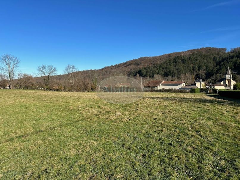 Vente terrain  6000 m² à Lannemezan (65300), 51 000 €