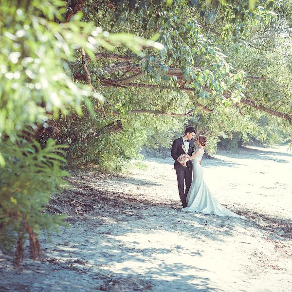 Fotógrafo de bodas Olga Lapshina (lapshina). Foto del 12 de diciembre 2015