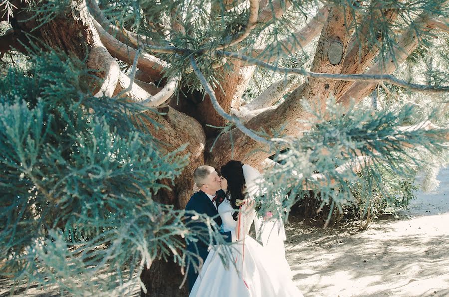 Photographe de mariage Tatyana Dzhulepa (dzhulepa). Photo du 6 juin 2016