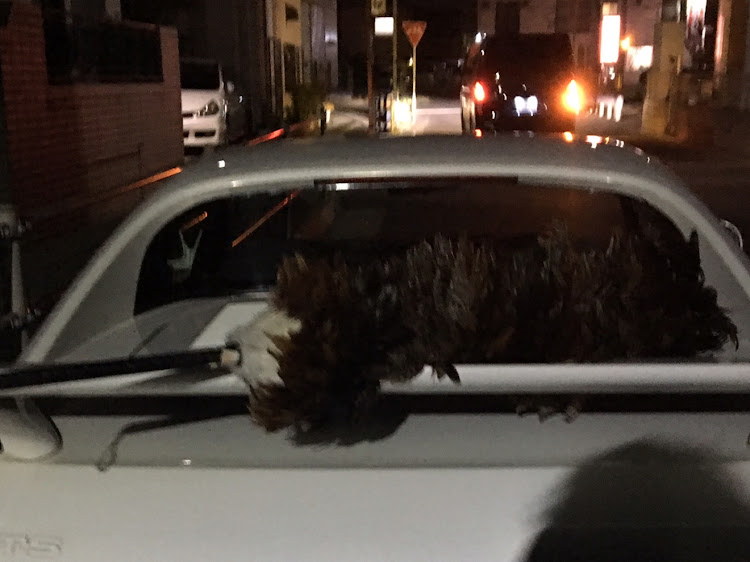 MR2のクラウンアスリート・ドライブ・洗車・大黒ふ頭パーキングに関するカスタム事例の投稿画像1枚目
