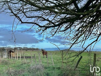 ferme à Gazeran (78)