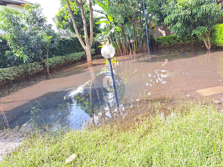 Kugeria estate off Kiambu road after sewer overflew to their homes.
