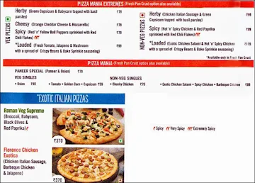 Domino's Pizza menu 