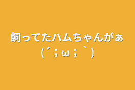 飼ってたハムちゃんがぁ(´；ω；｀)