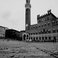 Le campane sul palio di Siena. di 