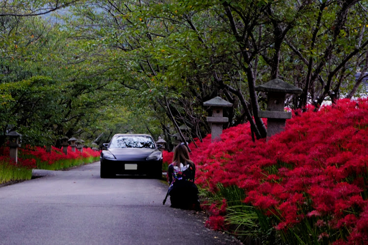 ランサーエボリューションのrx-8・撮影会・彼岸花・曼珠沙華に関するカスタム事例の投稿画像3枚目