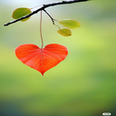 Red leaves and hearts wallpaper