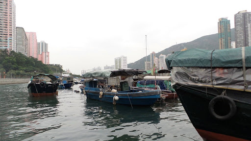 Sampan Boat Tour Hong Kong China 2016