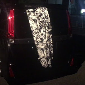 ヴォクシー ZRR80W
