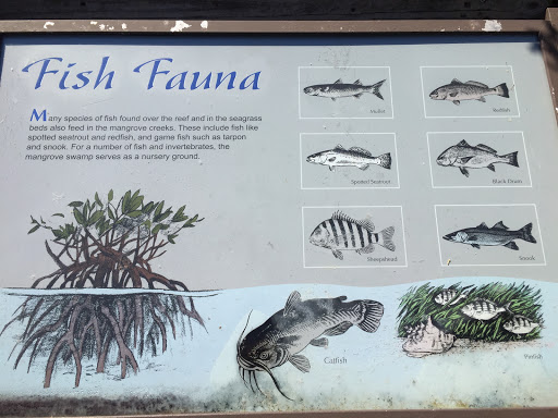 IRB Fish Fauna Placard