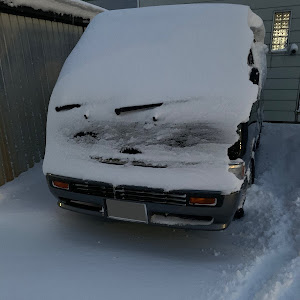 ホーミーコーチ ARMGE24