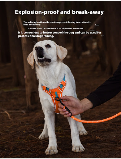 Title 6, Large Anti Slip Pet Chest Harness In Traction R...