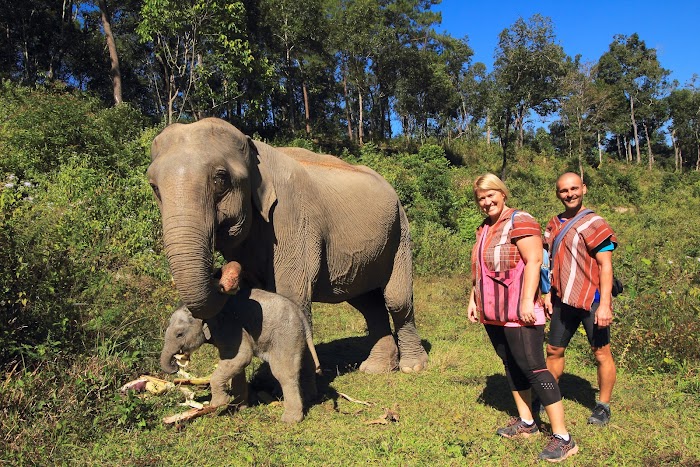 TAILANDIA EN DICIEMBRE - Blogs of Thailand - 7 DICIEMBRE. ELEPHANT NATURE PARK RETIREMENT (14)